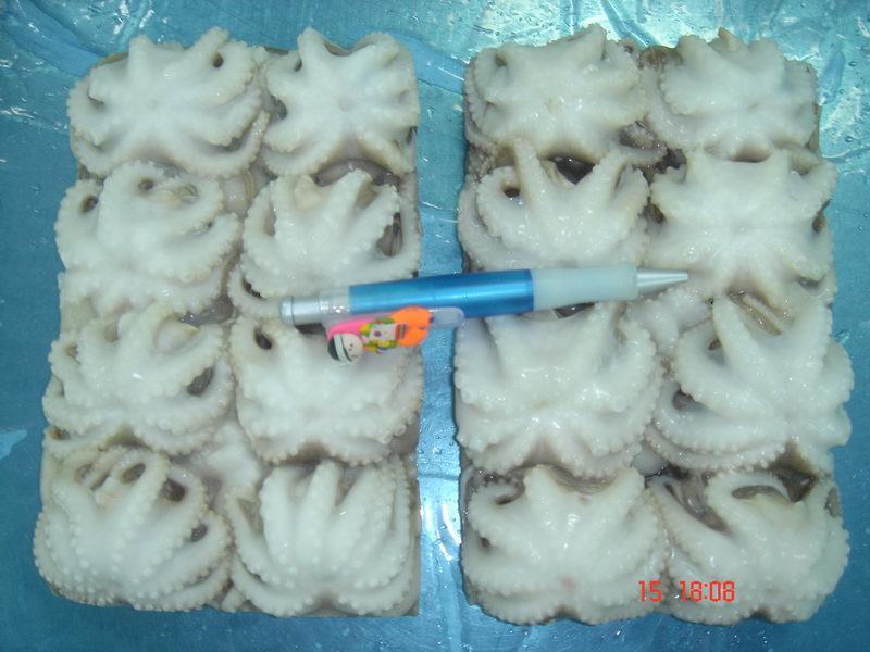 Octopus Block